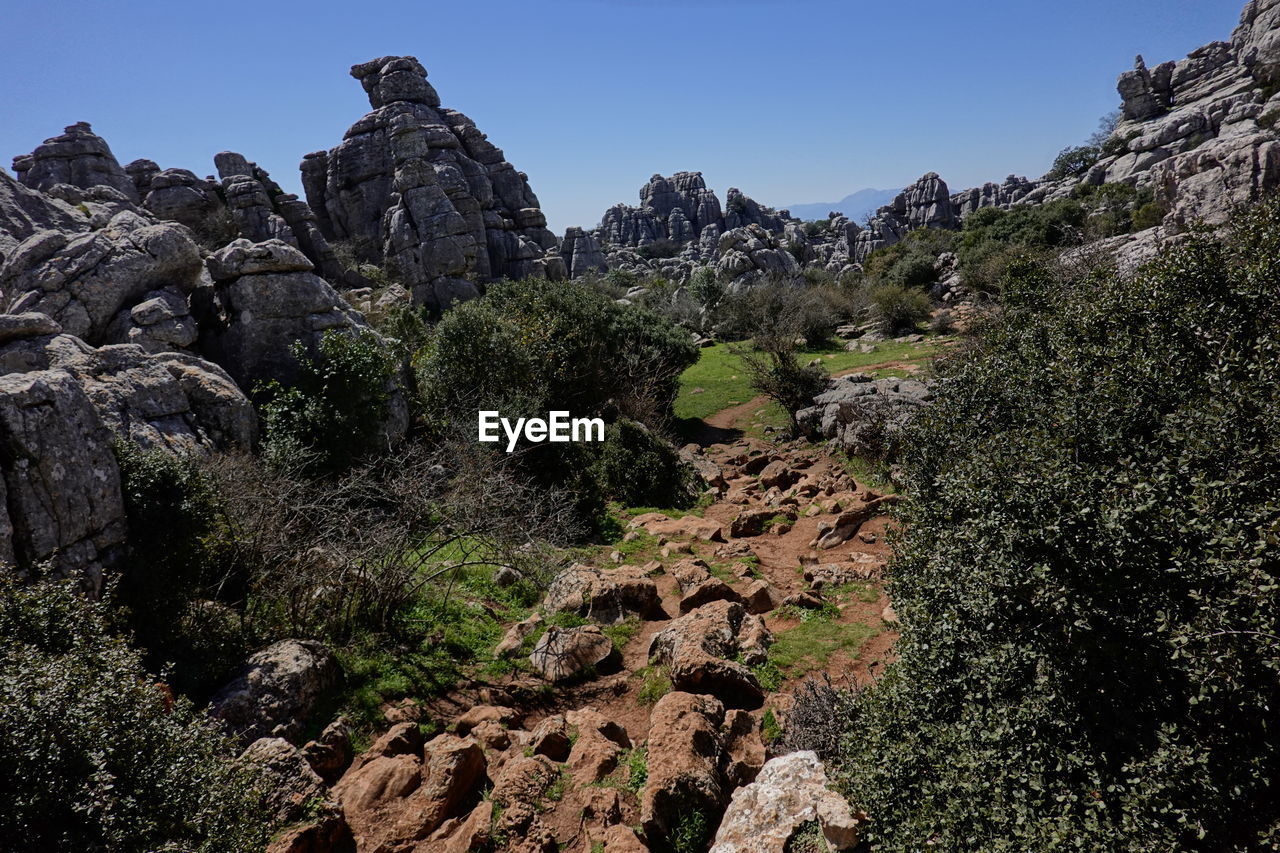 PLANTS GROWING ON ROCK FORMATIONS AGAINST SKY