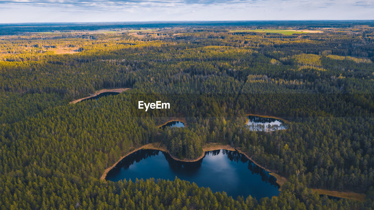 Aerial view of a lake