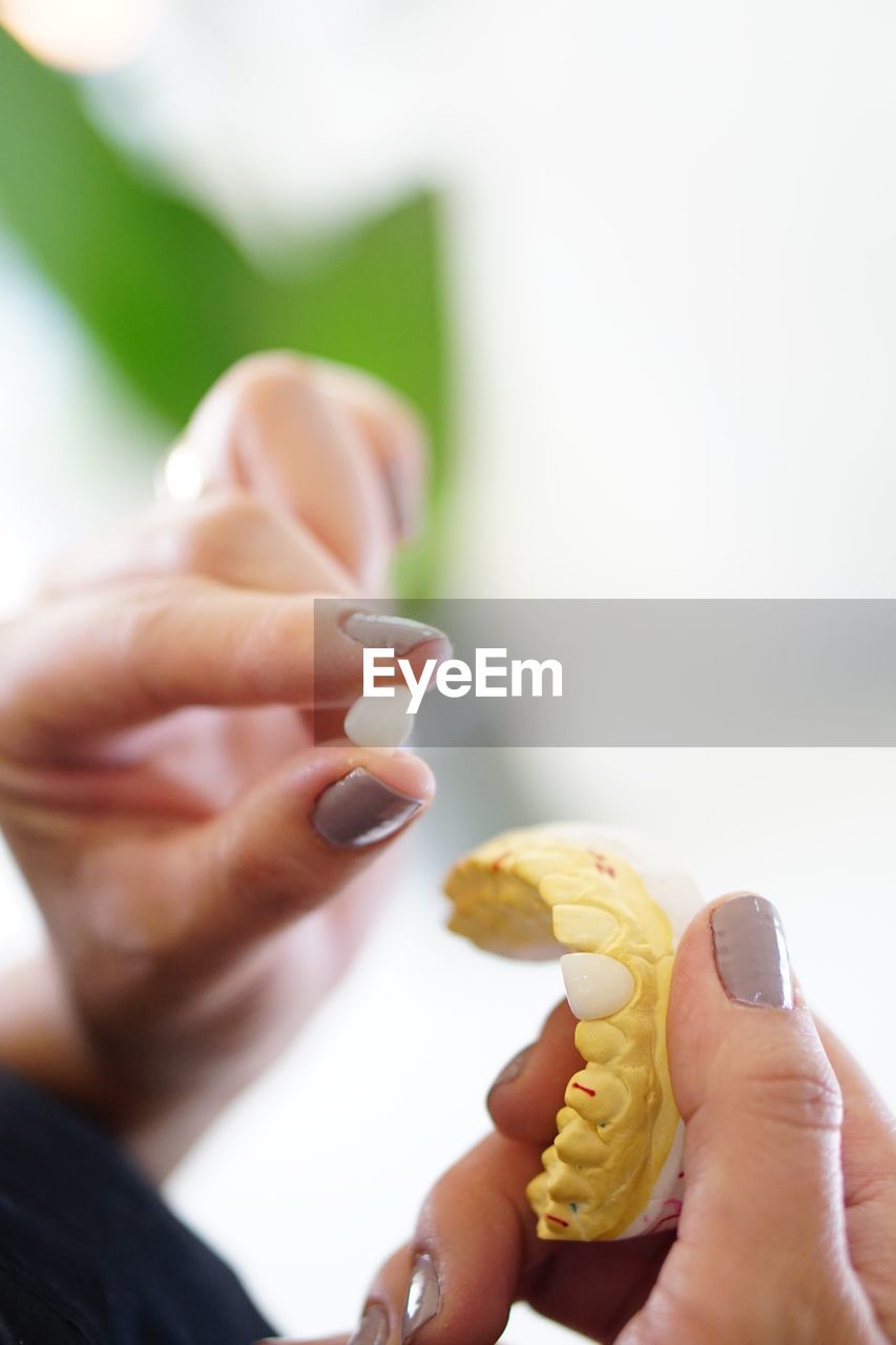 Midsection of woman holding a tooth 