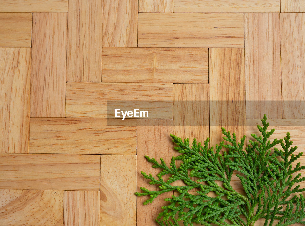 DIRECTLY ABOVE SHOT OF PINE CONES ON FLOOR