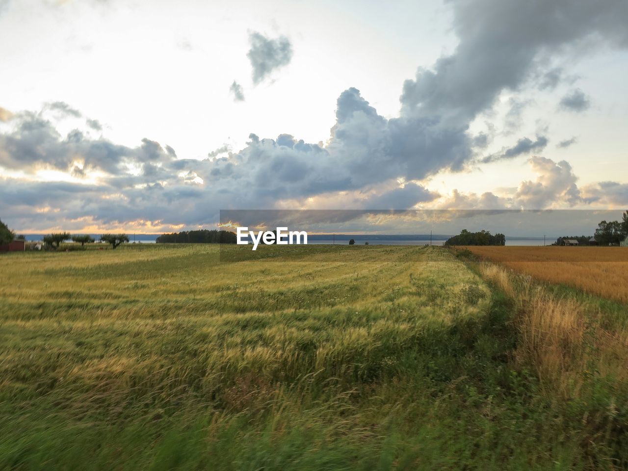 Scenic view of grassy field against cloudy sky