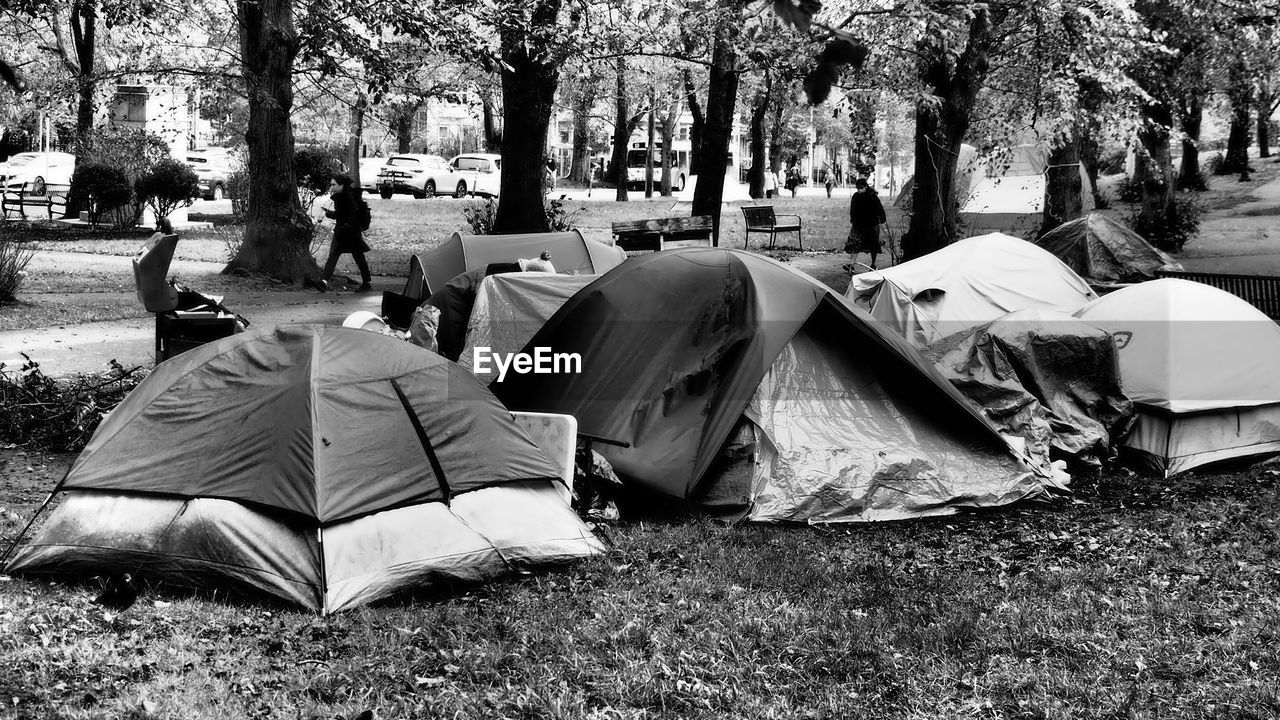tree, plant, tent, black and white, nature, day, monochrome, group of people, monochrome photography, camping, men, leisure activity, tree trunk, outdoors, trunk, crowd, lifestyles, adult, women, land, relaxation, large group of people, park, grass