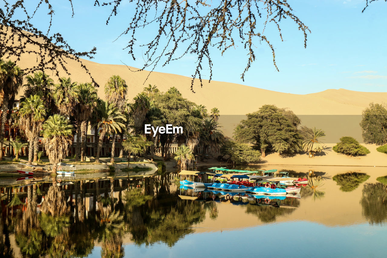 Huacachina - an oasis in the middle of the peruvian desert, view of palm trees and a lagoon