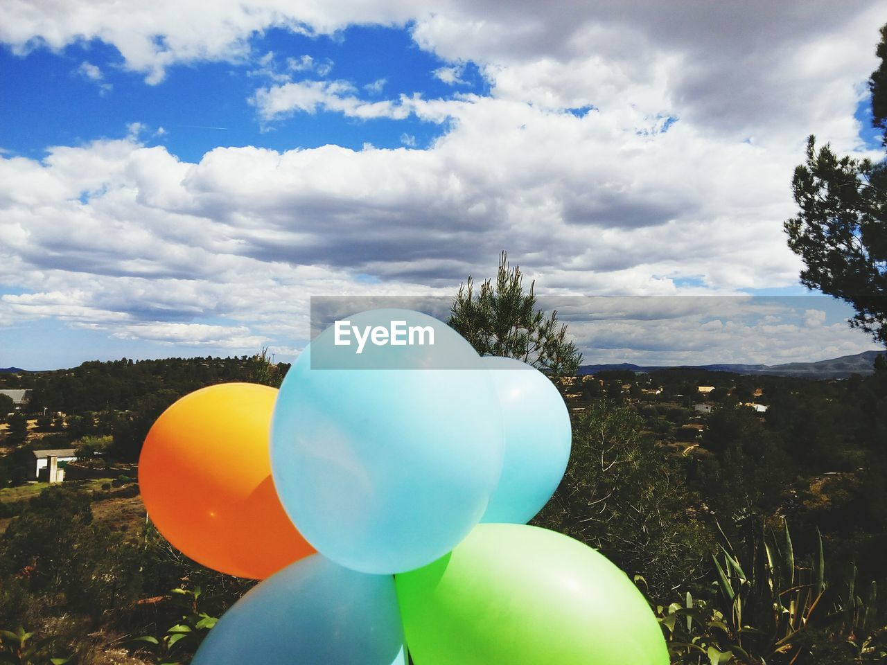 Close-up of balloons against trees against blue sky