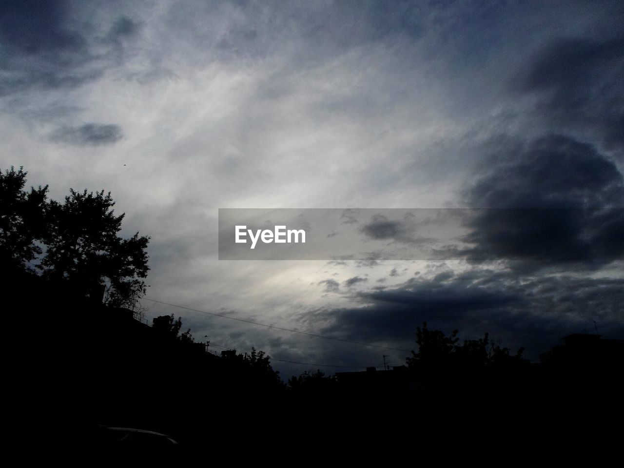 LOW ANGLE VIEW OF TREES AGAINST SKY