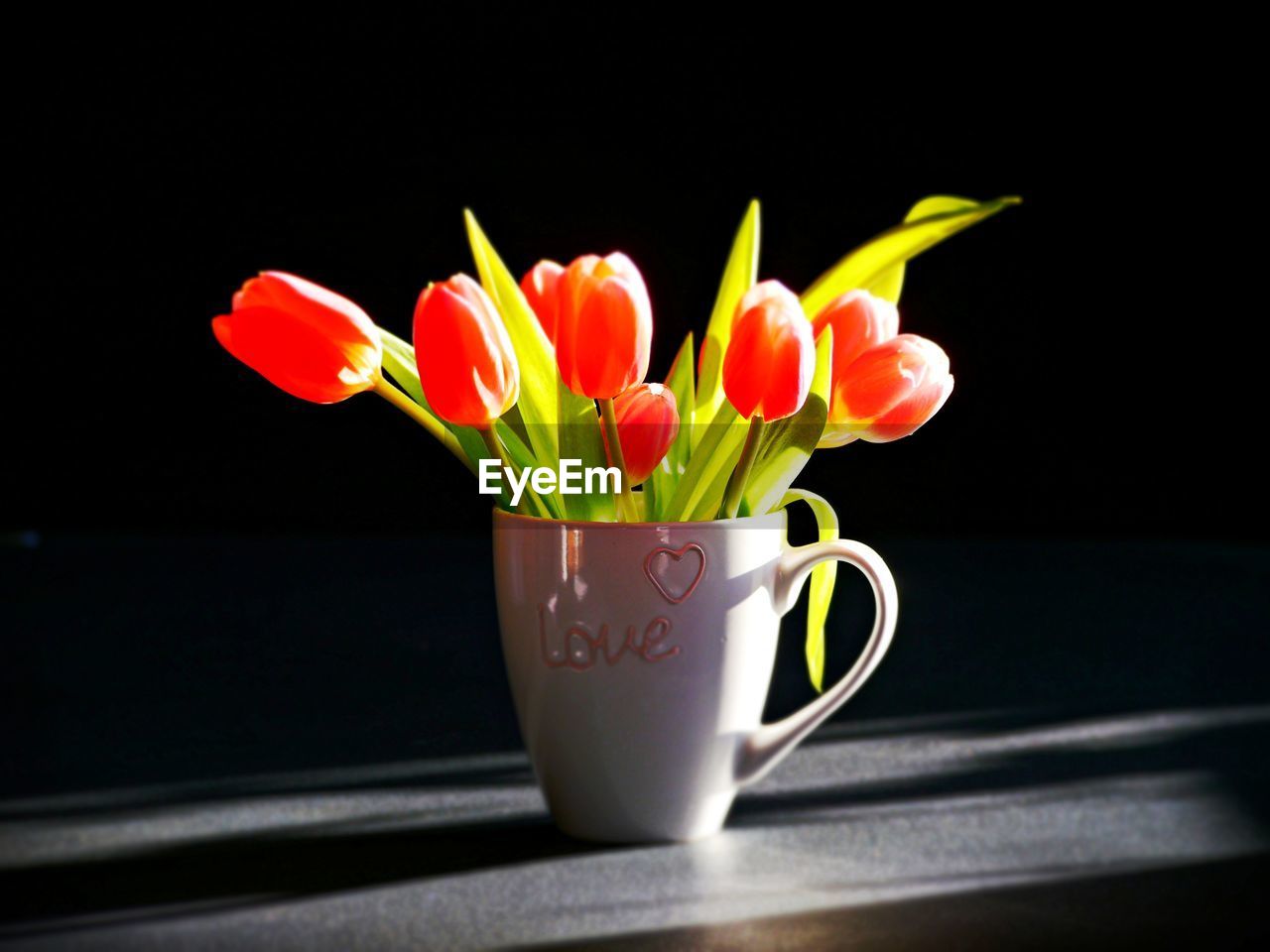 CLOSE-UP OF FLOWERS IN VASE