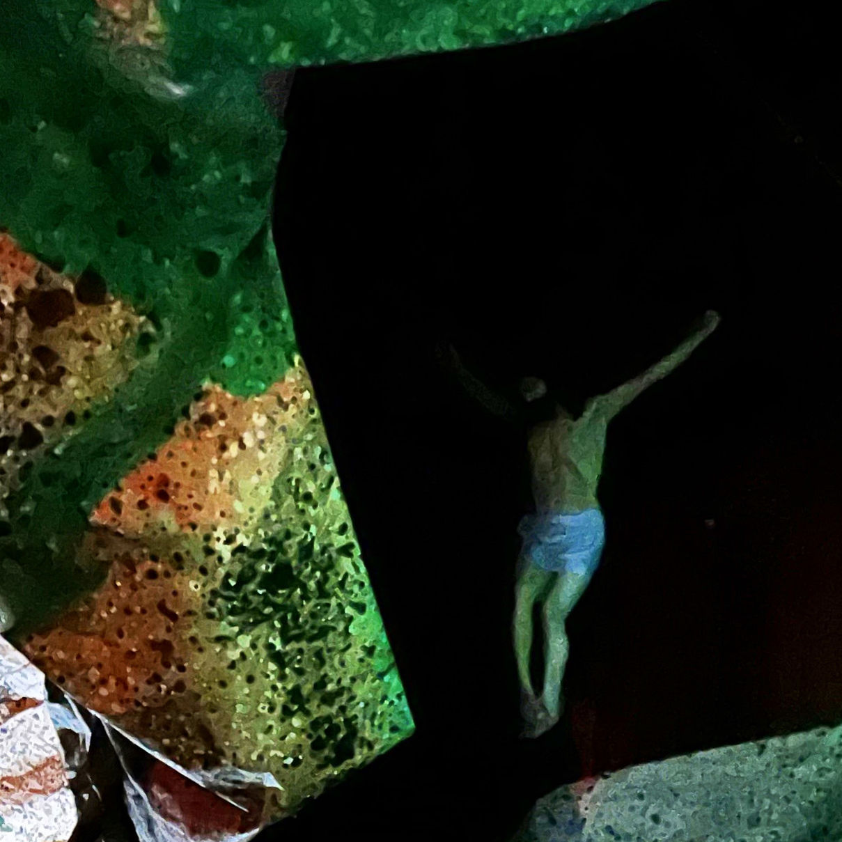 green, one person, nature, underwater, full length, aquarium, water, marine biology, limb, adult, outdoors