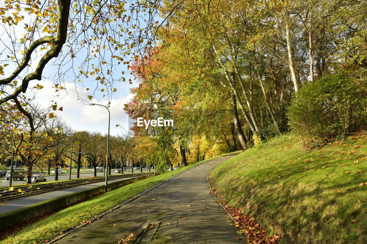 Road amidst trees in park during autumn