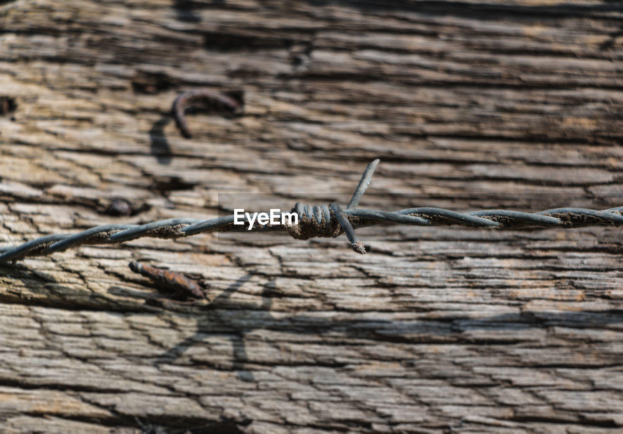 Close-up of barbed wire on wood