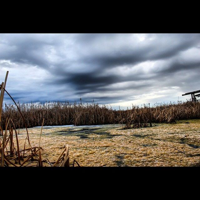 SCENIC VIEW OF LANDSCAPE AGAINST CLOUDY SKY