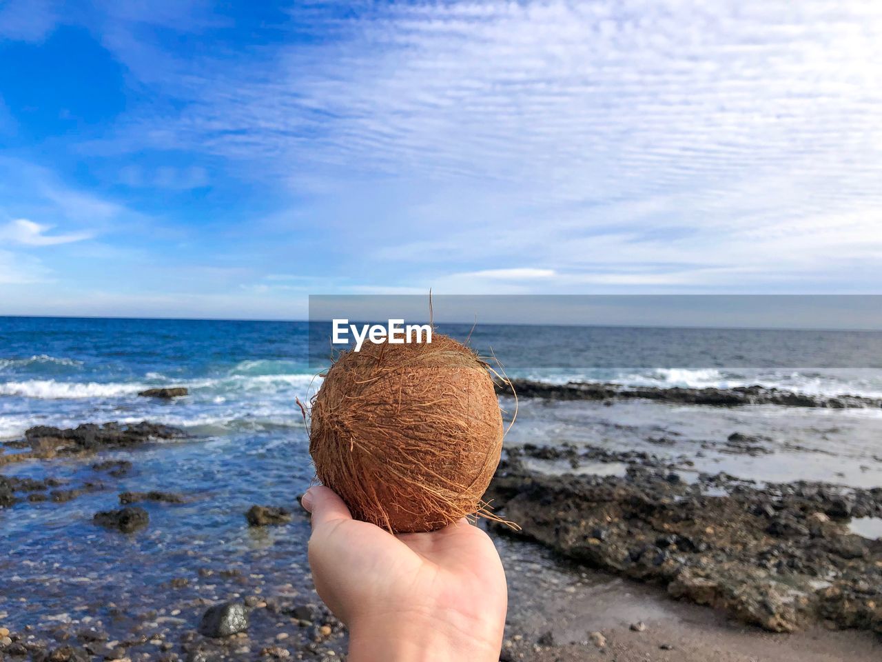 Cropped hand holding coconut against sea