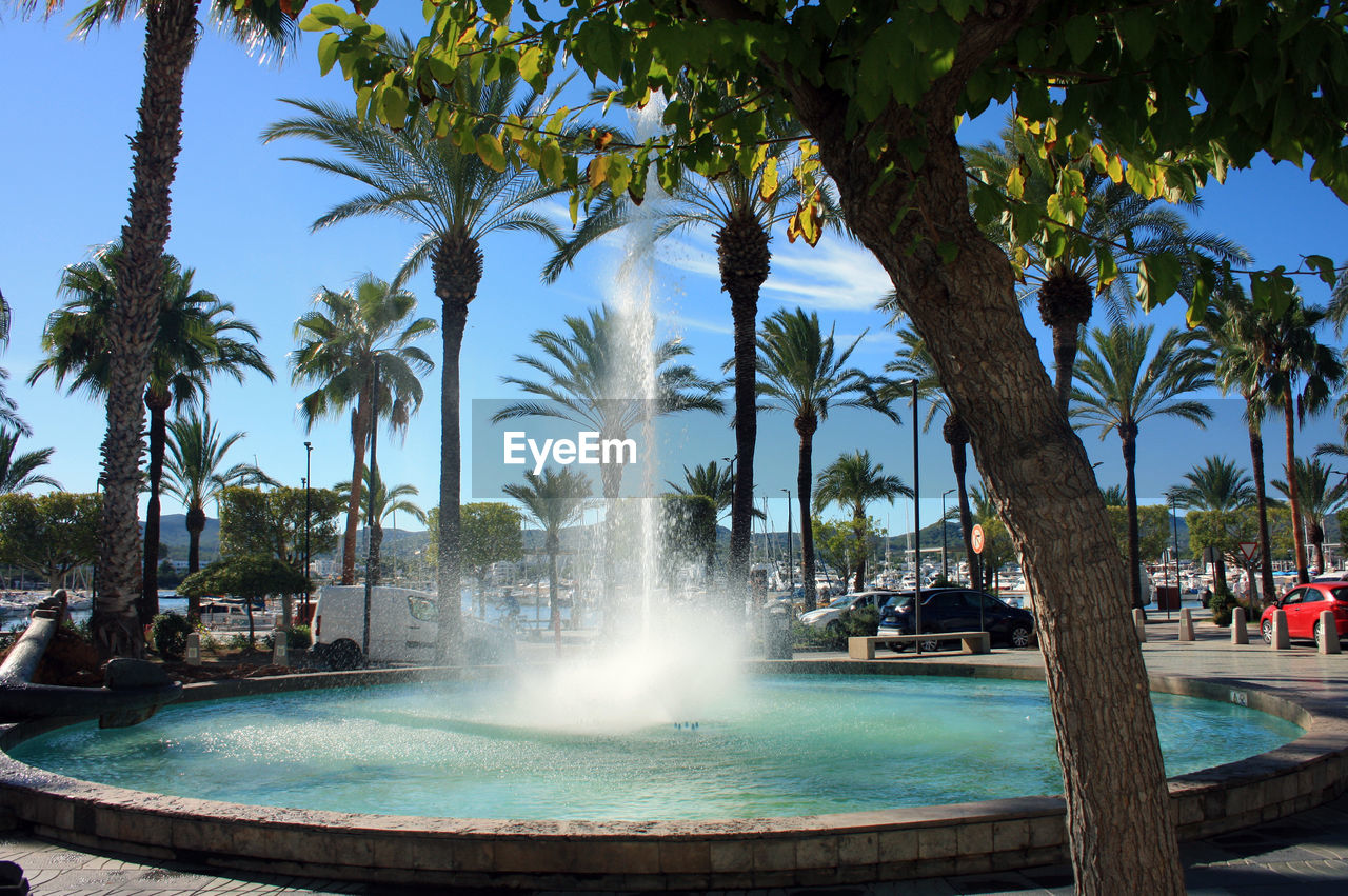 water, tree, palm tree, tropical climate, fountain, plant, nature, water feature, resort, travel destinations, vacation, swimming pool, sky, park, travel, tourism, outdoors, day, trip, estate, holiday, sunlight, architecture, sea, beauty in nature, spraying, blue, tourist resort, motion