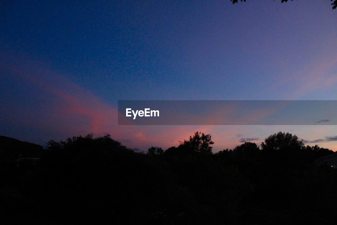 SCENIC VIEW OF SILHOUETTE TREES AGAINST SKY DURING SUNSET