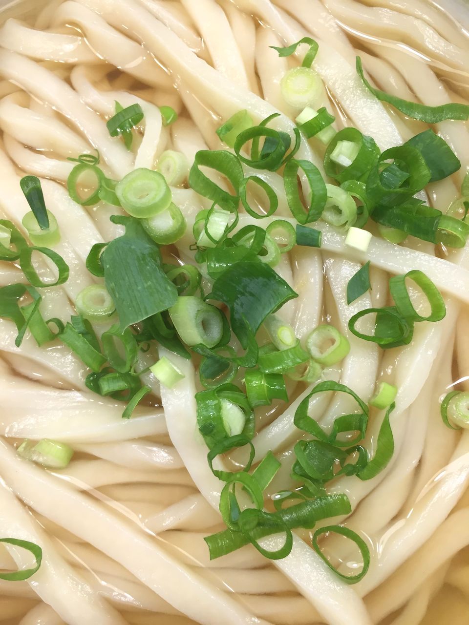 Close-up of noodles