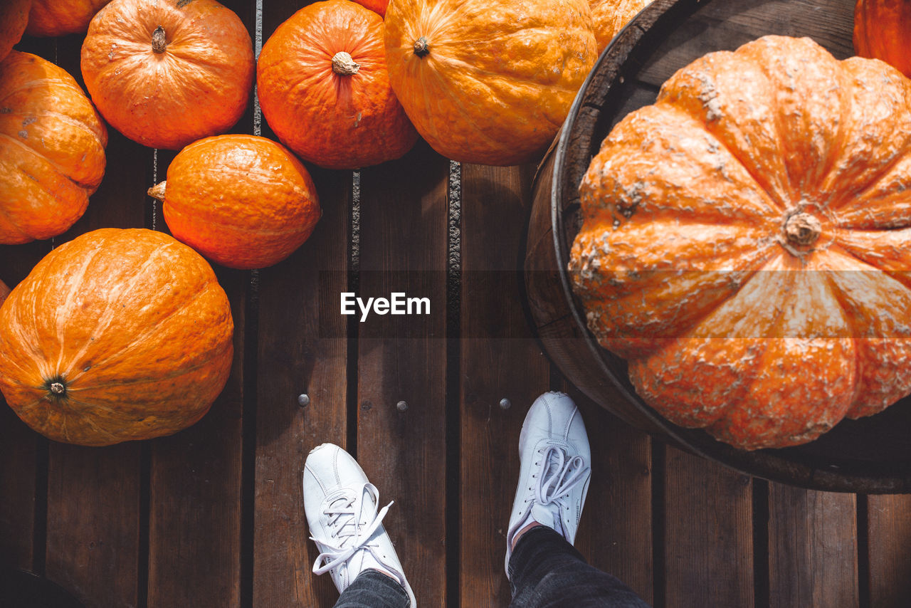 HIGH ANGLE VIEW OF PUMPKINS IN MARKET