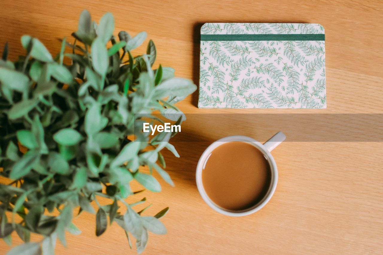 Directly above shot of coffee cup and diary by plant on table