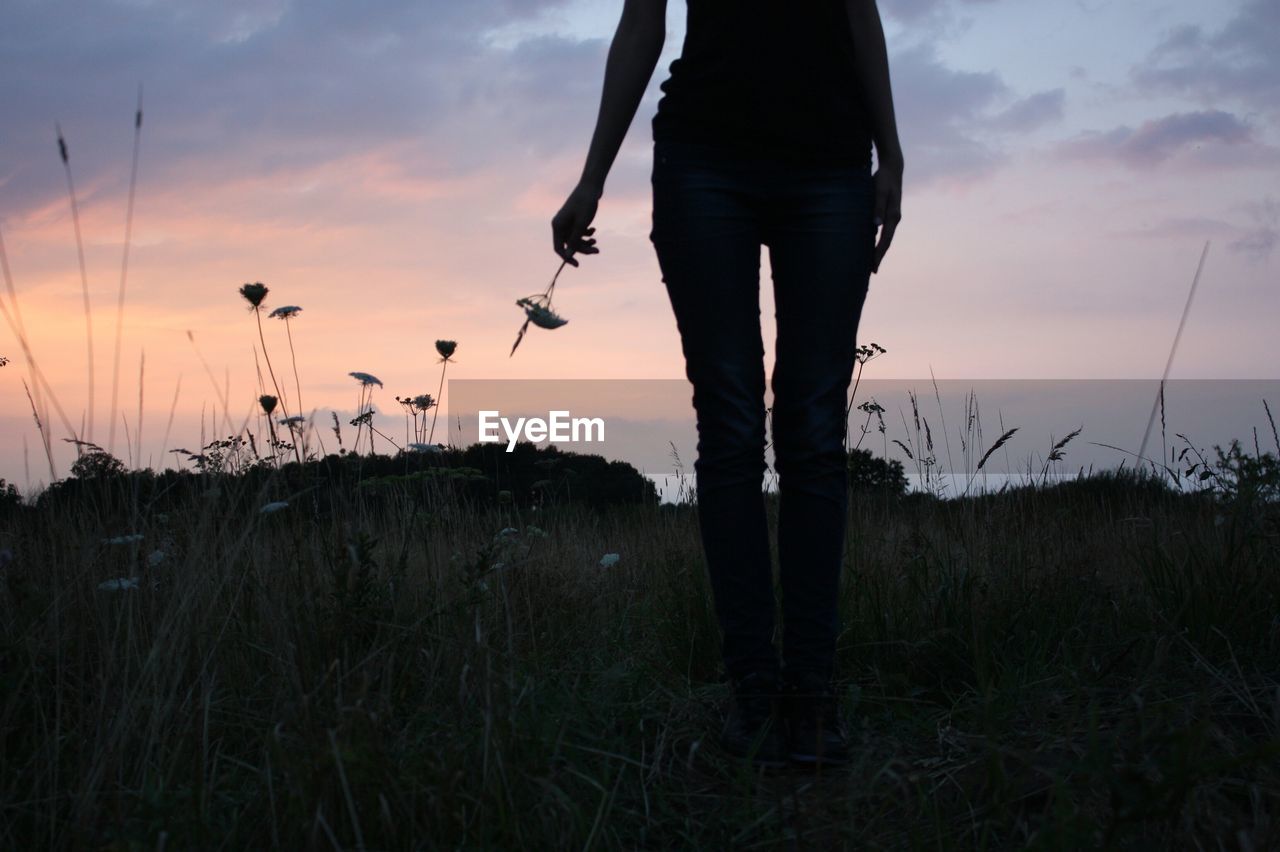 Low section of silhouette woman holding flower in meadow