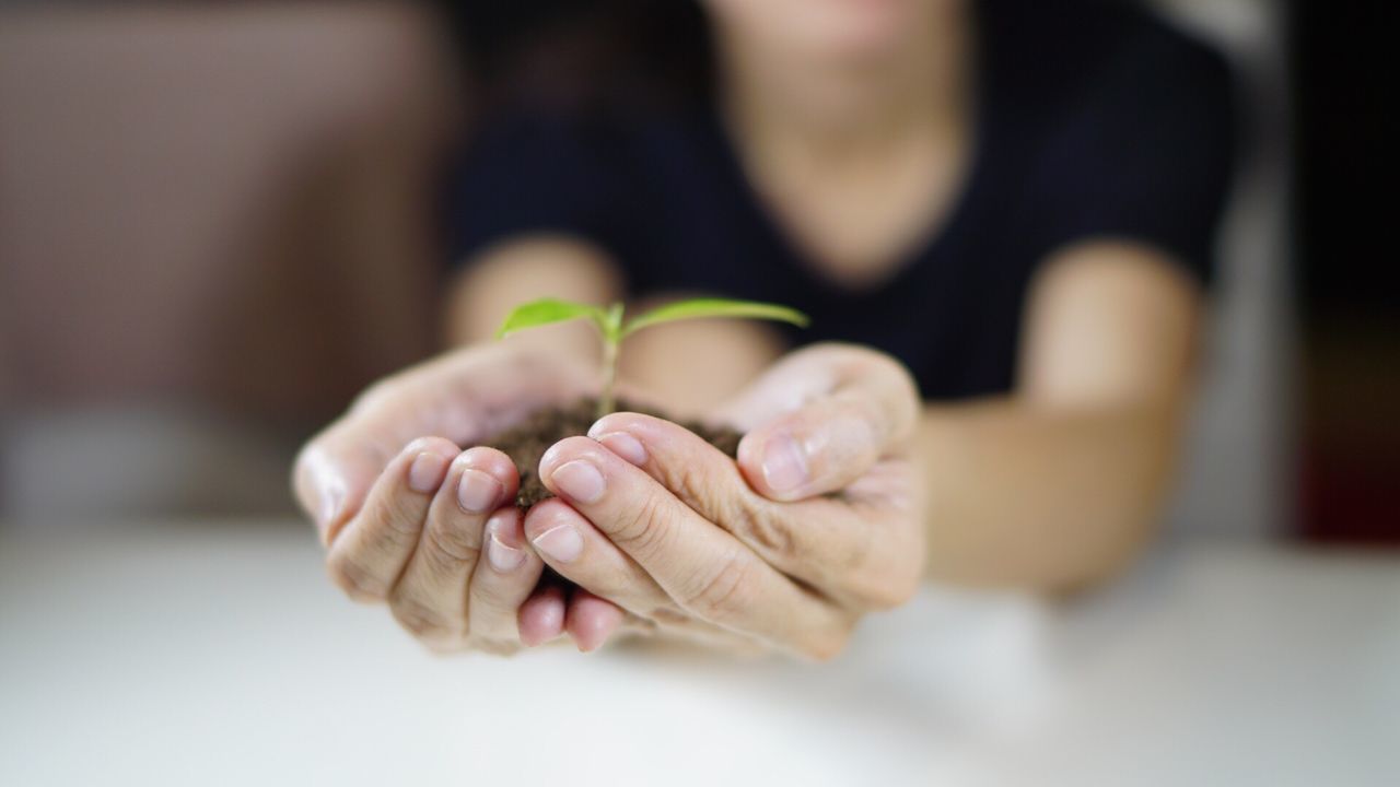 Midsection of woman holding plant in soil