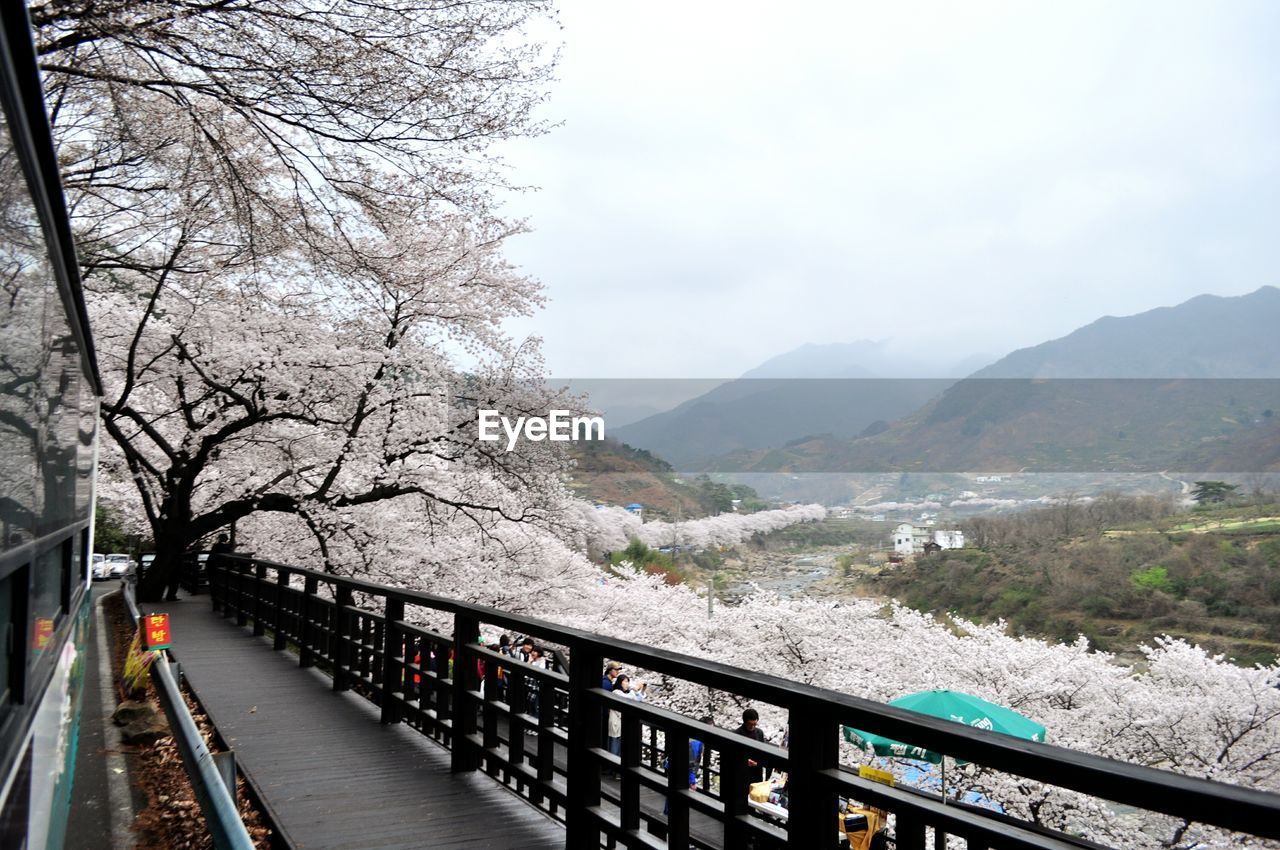 Scenic view of landscape against cloudy sky