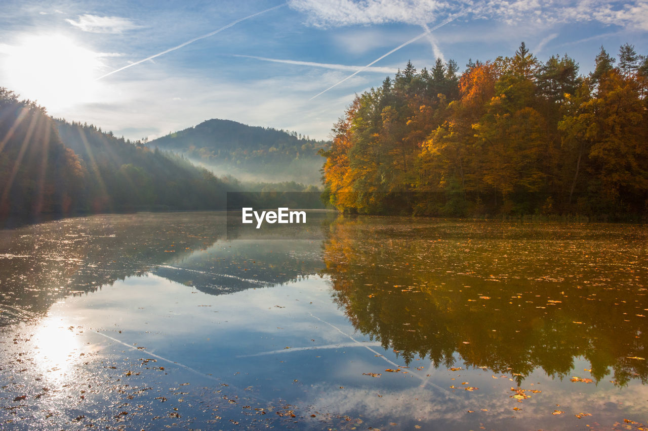 Autumn morning at lake thal near graz, styria region, austria