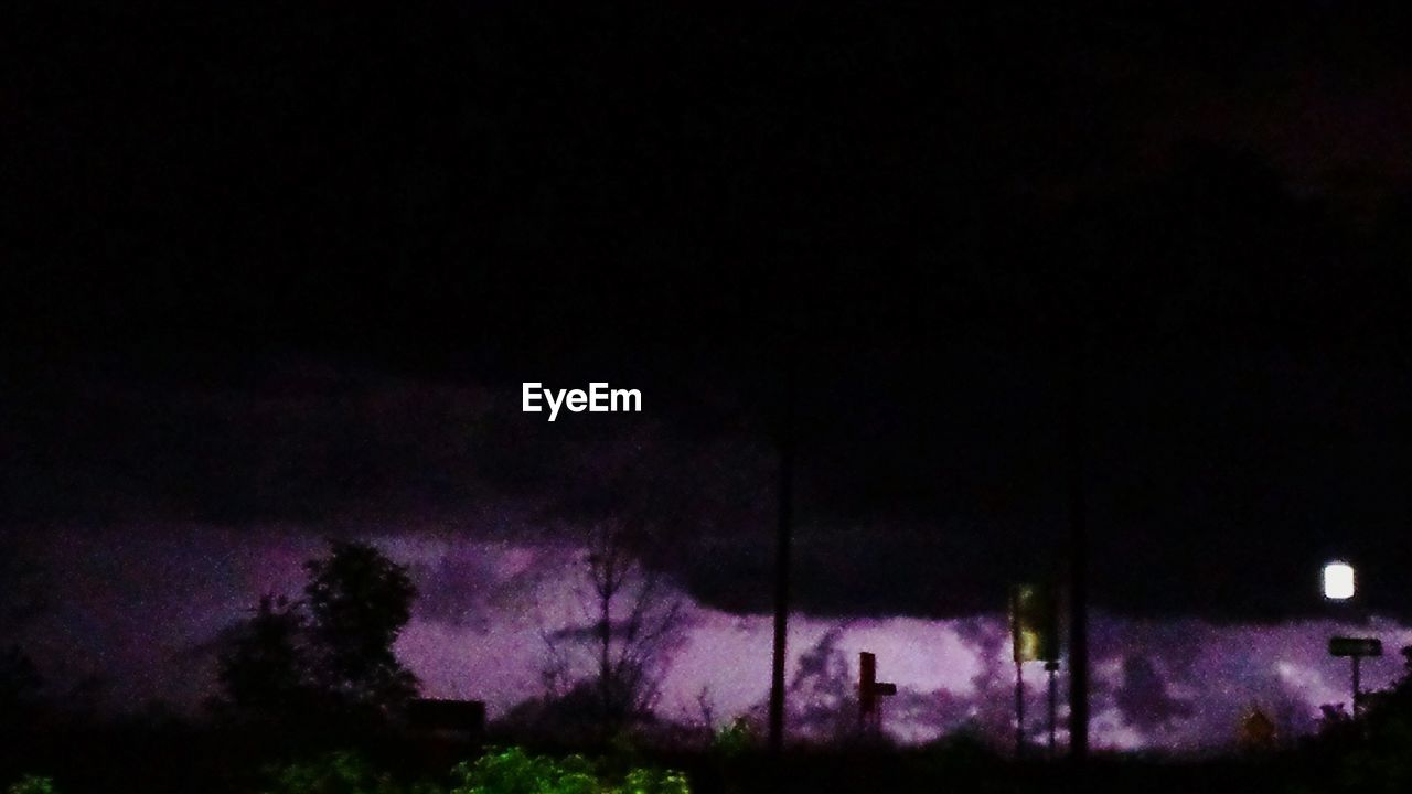 VIEW OF TREES AT NIGHT