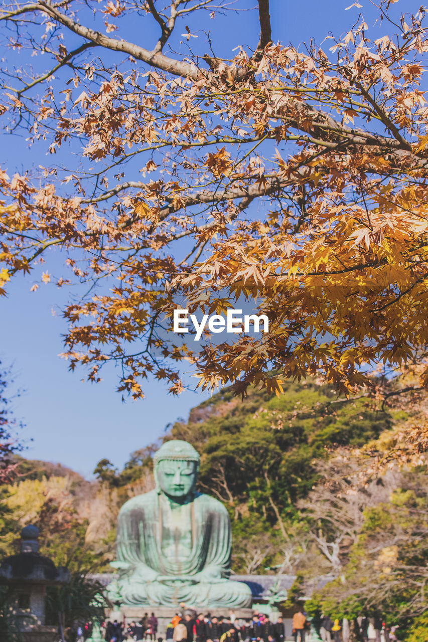 Buddha statue against trees