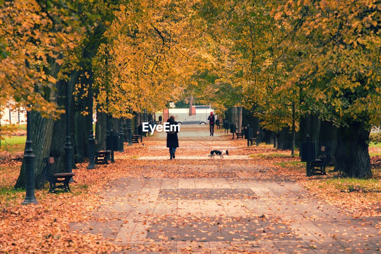 REAR VIEW OF TWO PEOPLE WALKING IN PARK