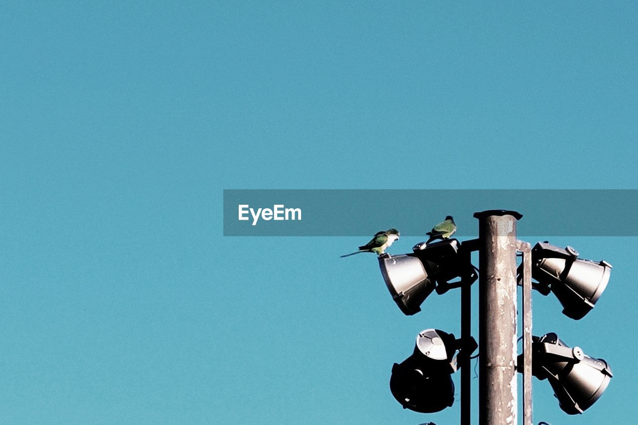 sky, clear sky, blue, copy space, no people, low angle view, nature, street light, lighting, day, technology, sunny, light fixture, outdoors, lighting equipment, communication, sign