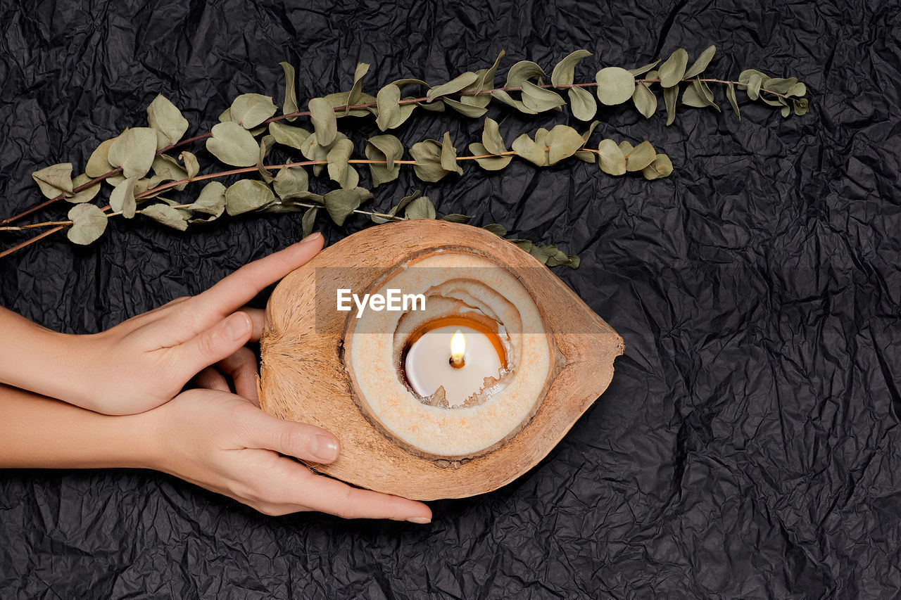 one person, hand, adult, women, food and drink, food, flower, indoors, holding, directly above, lifestyles, studio shot, nature, high angle view, young adult, wood, leaf, plant, plant part, freshness, wellbeing