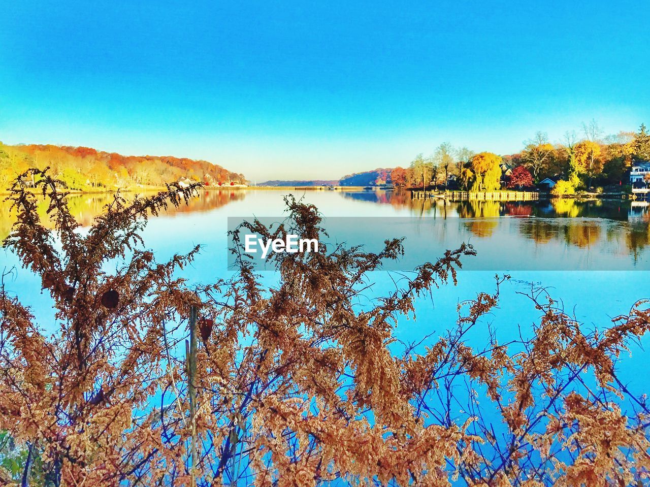 Scenic view of lake against clear blue sky