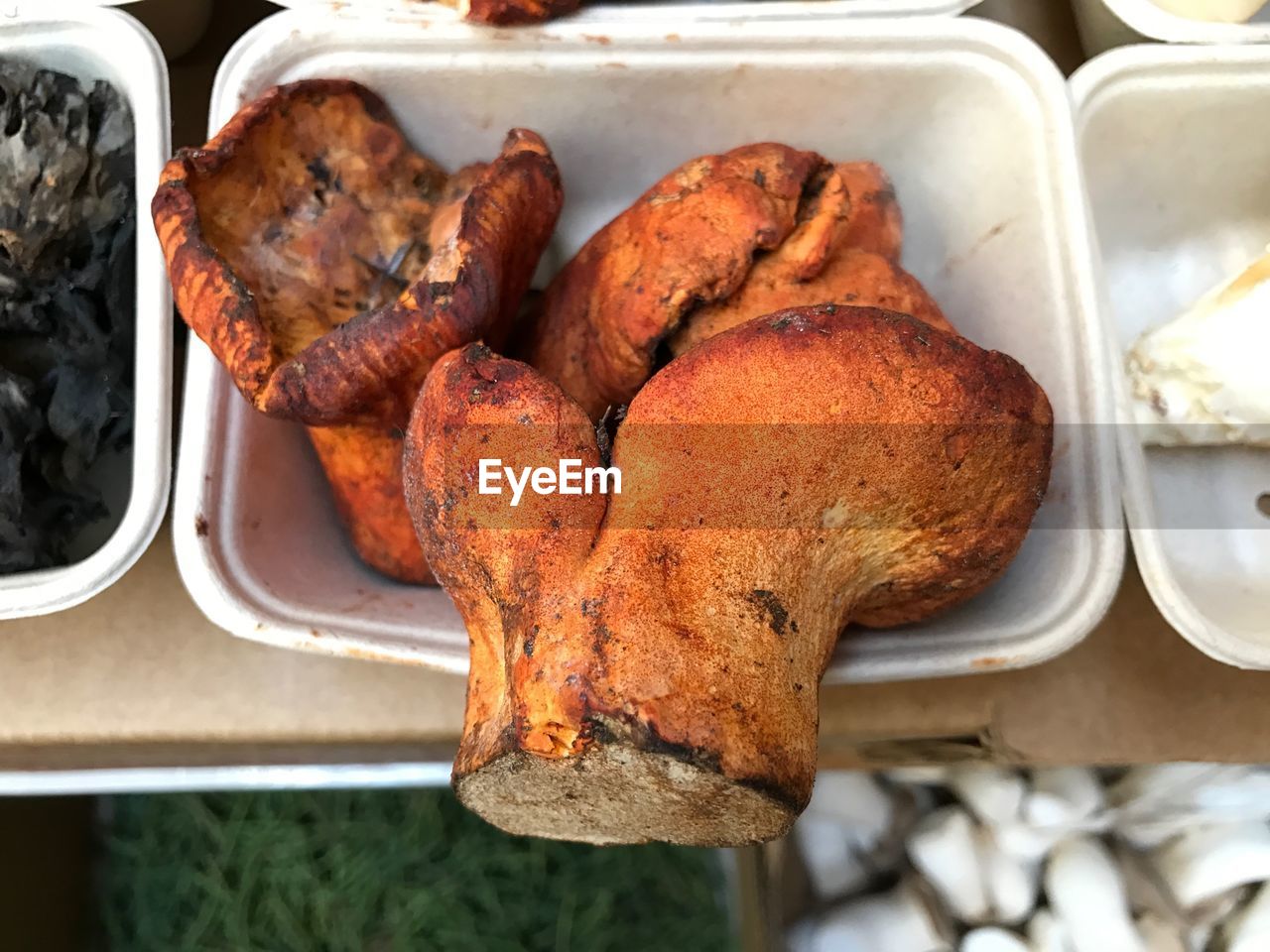 View of edible mushrooms in container