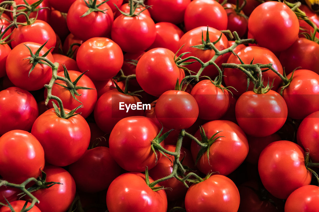 Red tomatoes in the market