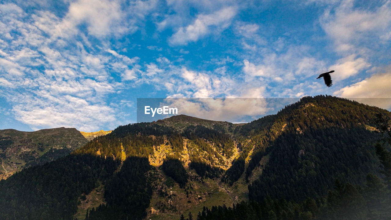 Bird flying over mountain range against sky