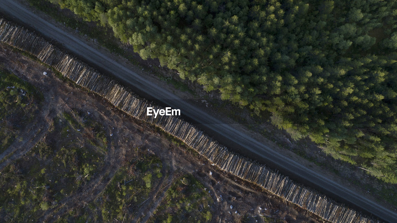 Aerial view of road amidst forest