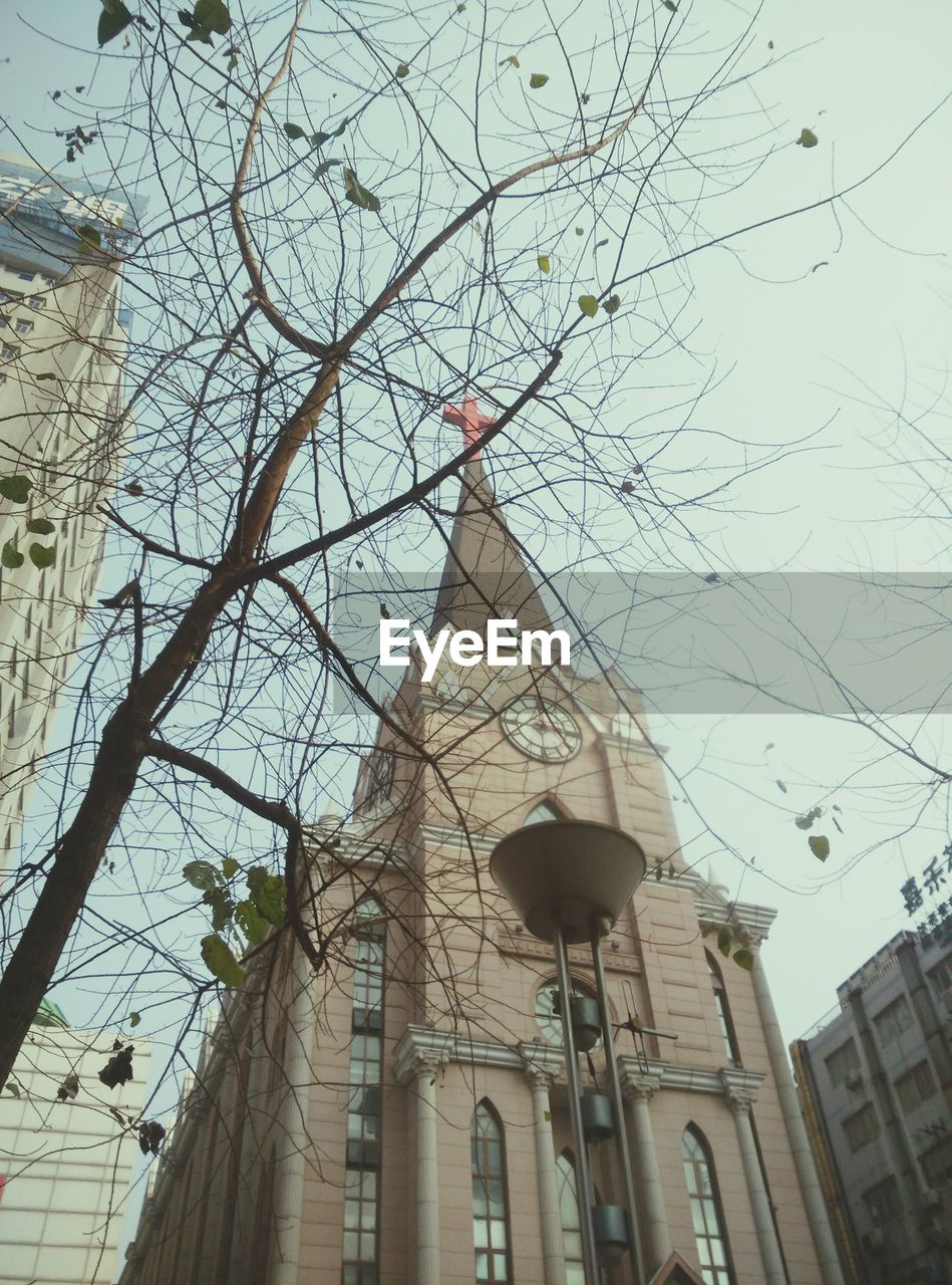 LOW ANGLE VIEW OF BUILDING WITH BARE TREES IN FOREGROUND