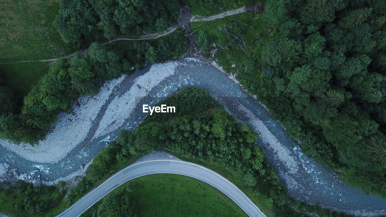 HIGH ANGLE VIEW OF ROAD AMIDST PLANTS