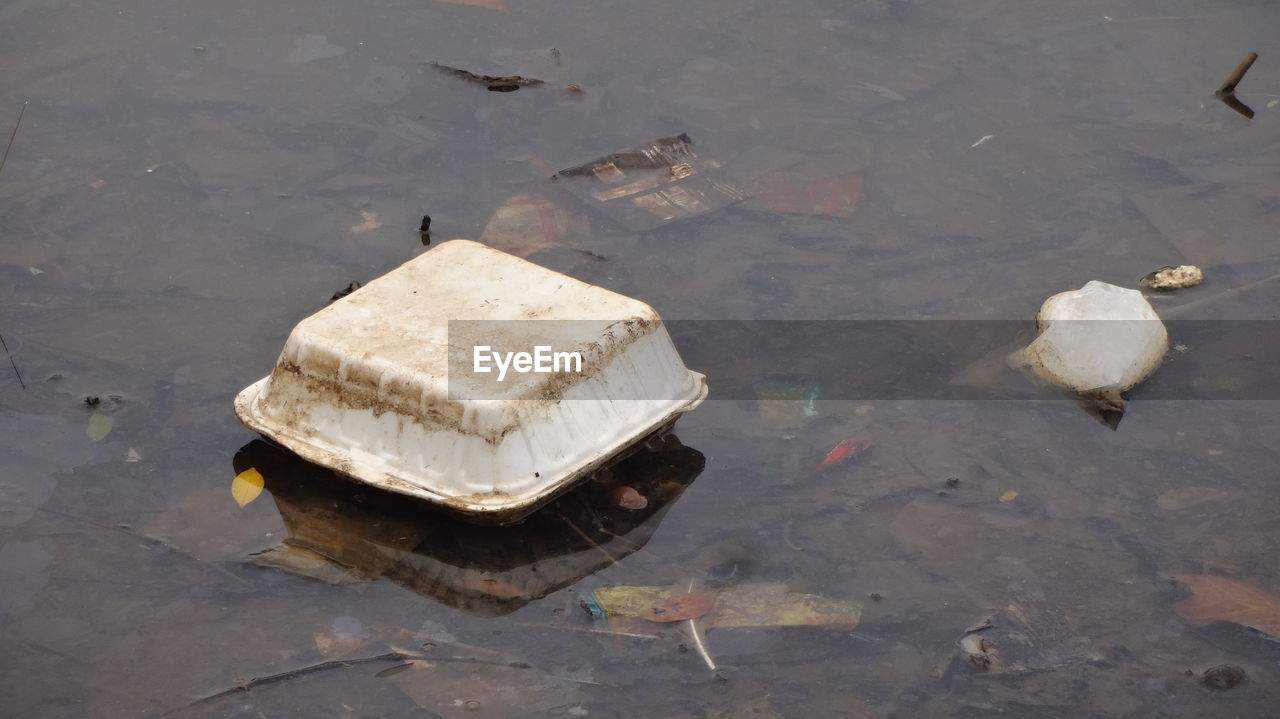 water, high angle view, no people, nature, wood, animal, day, outdoors, animal themes