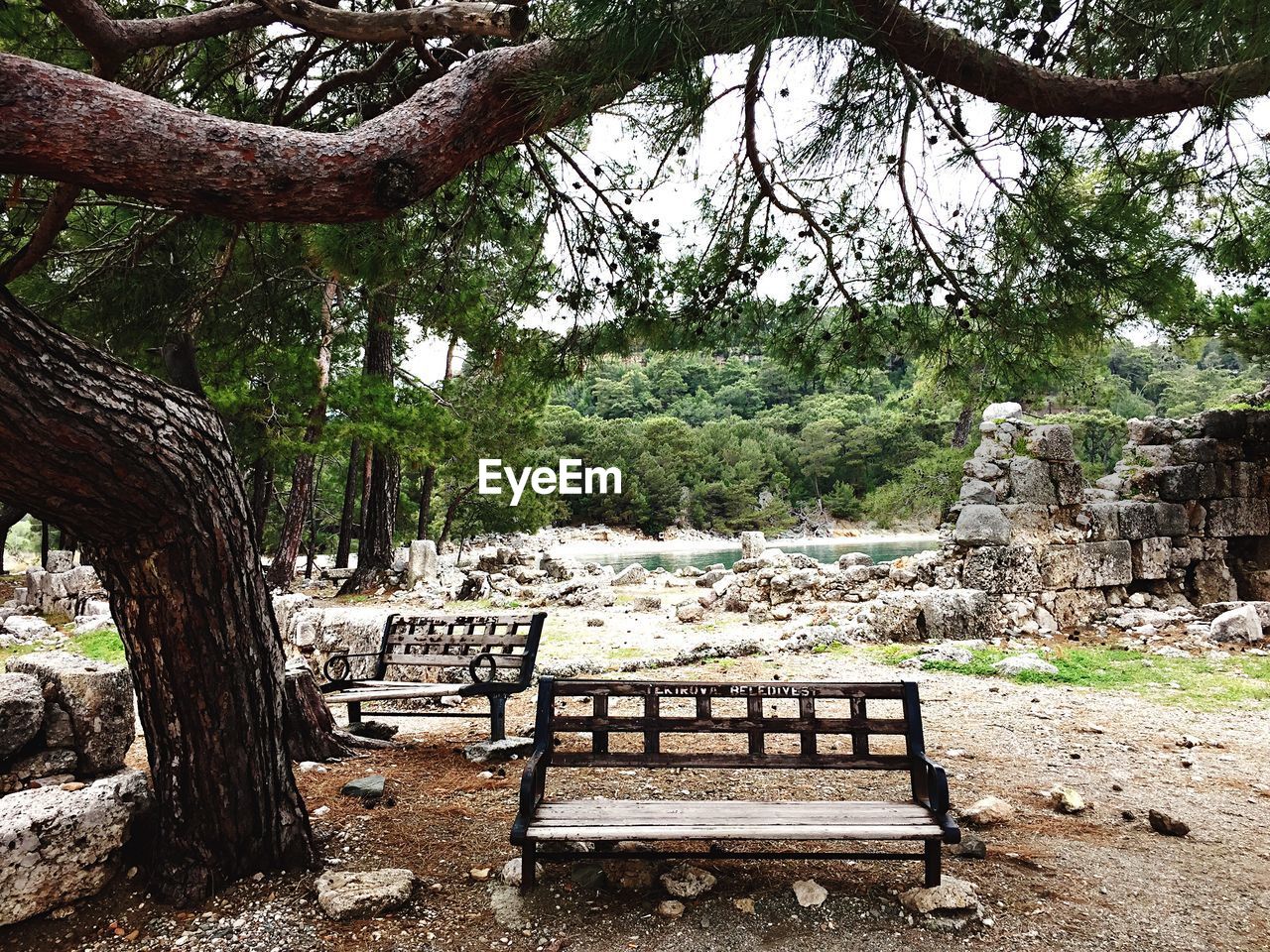 View of empty benches in forest