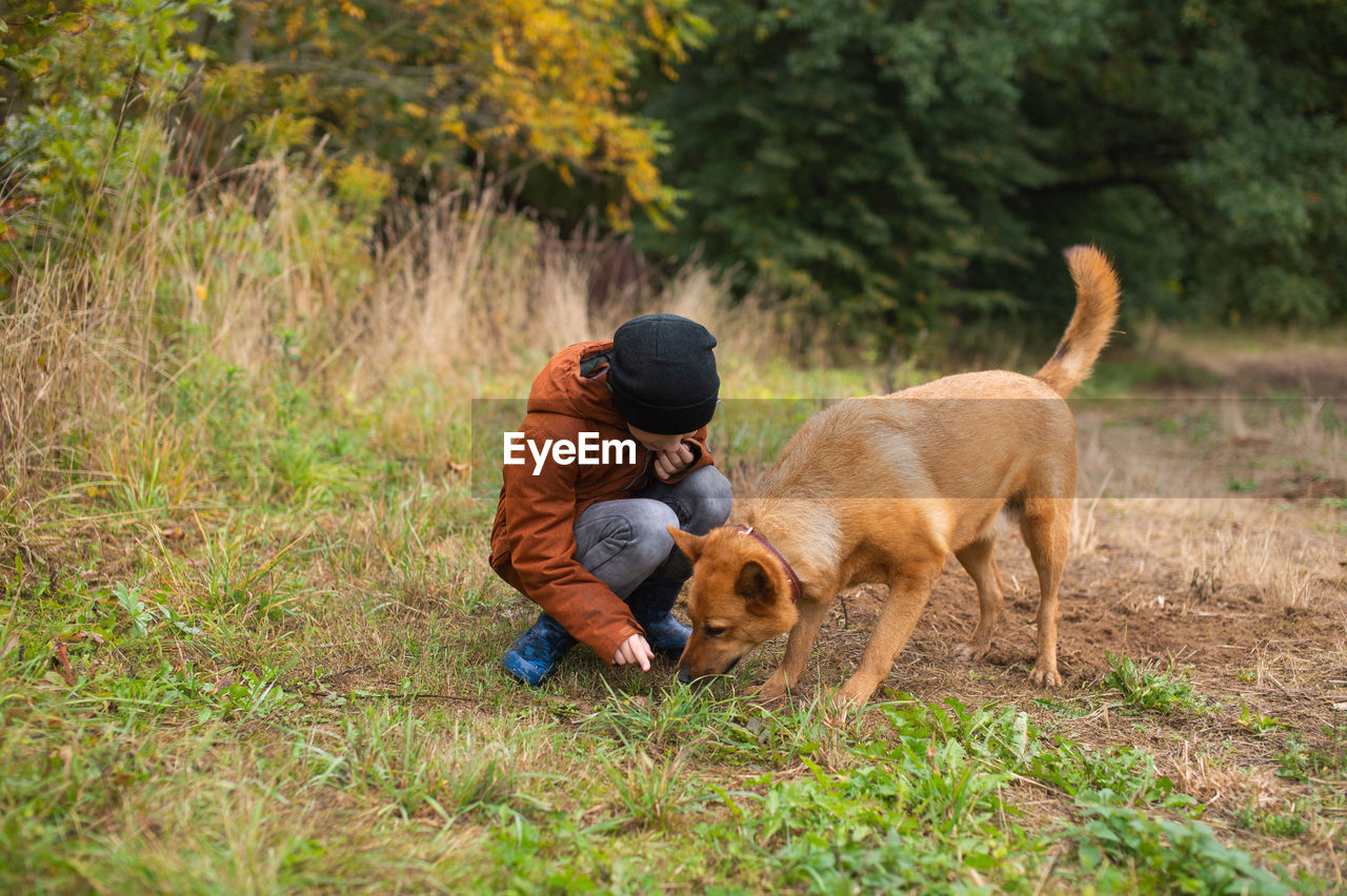 A boy digs the ground with a big red dog