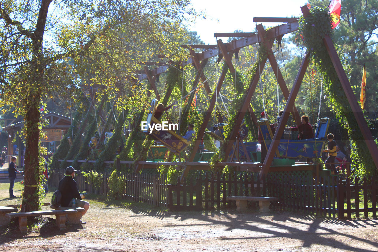 TREES IN PARK