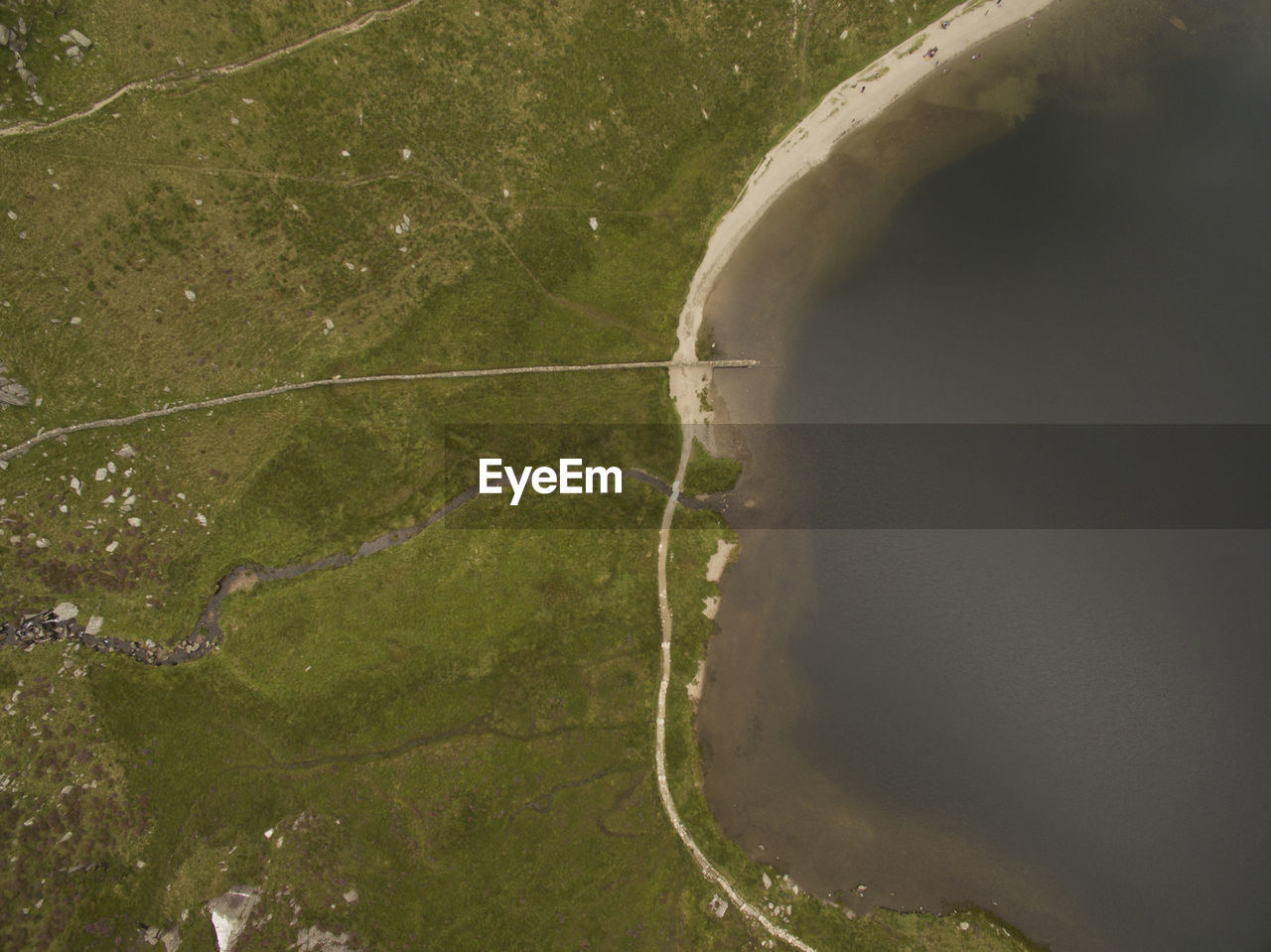 HIGH ANGLE VIEW OF WATER FLOWING THROUGH TREE