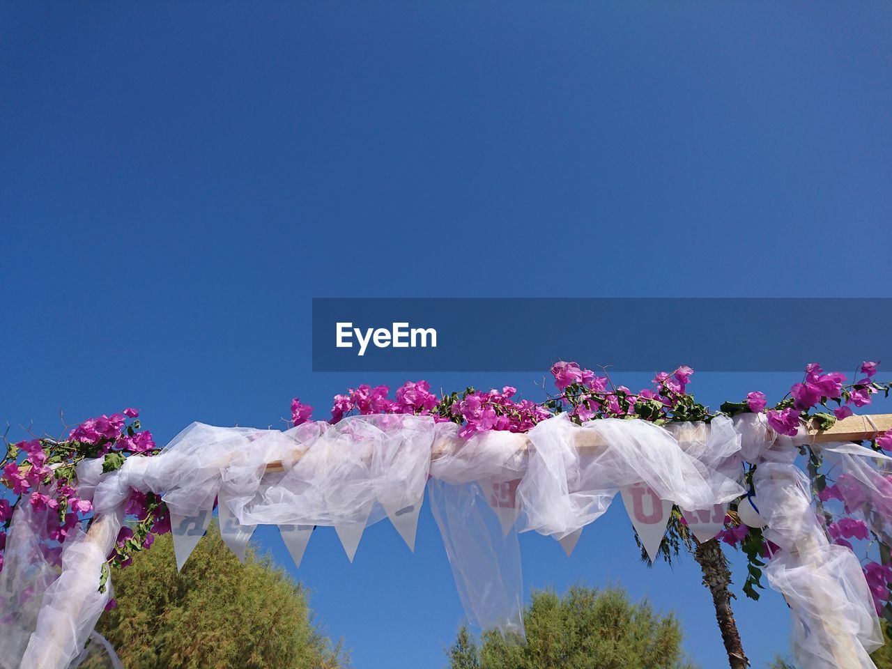 Low angle view of flower trees against clear blue sky