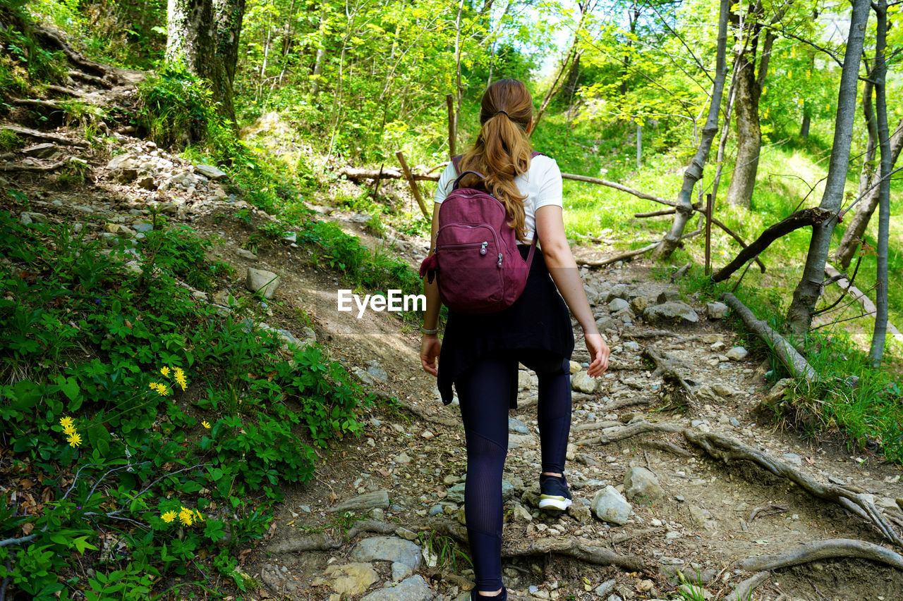 Female hiker climbing through the forest