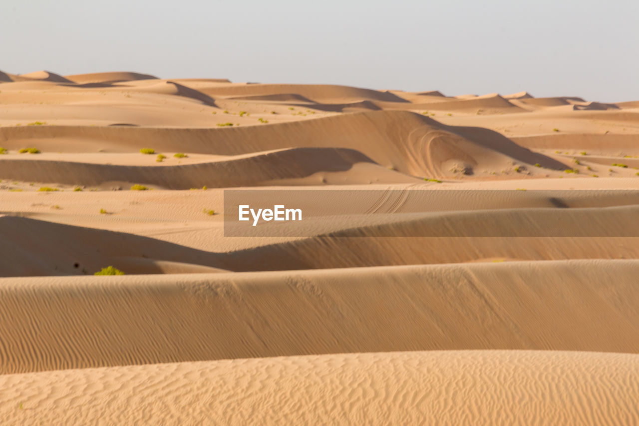 SAND DUNES IN DESERT