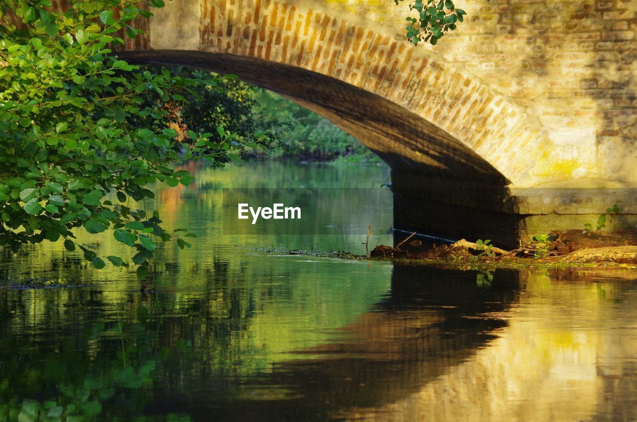 Reflection of tree on bridge over water