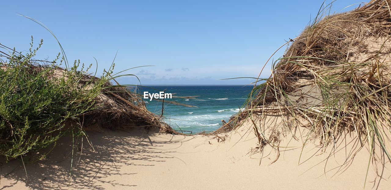 Scenic view of sea against clear blue sky