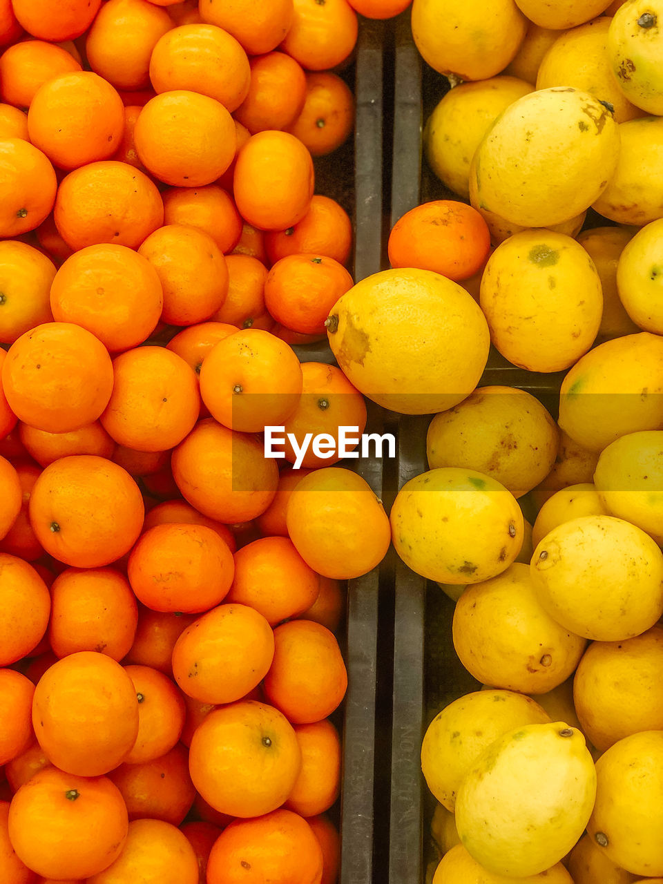 Close-up of oranges and lemon