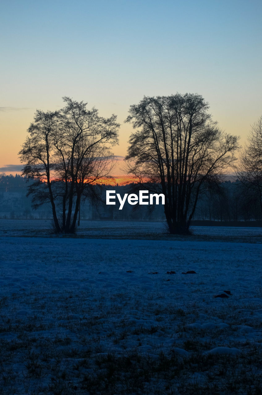 Silhouette trees on snow covered field against sky during sunset