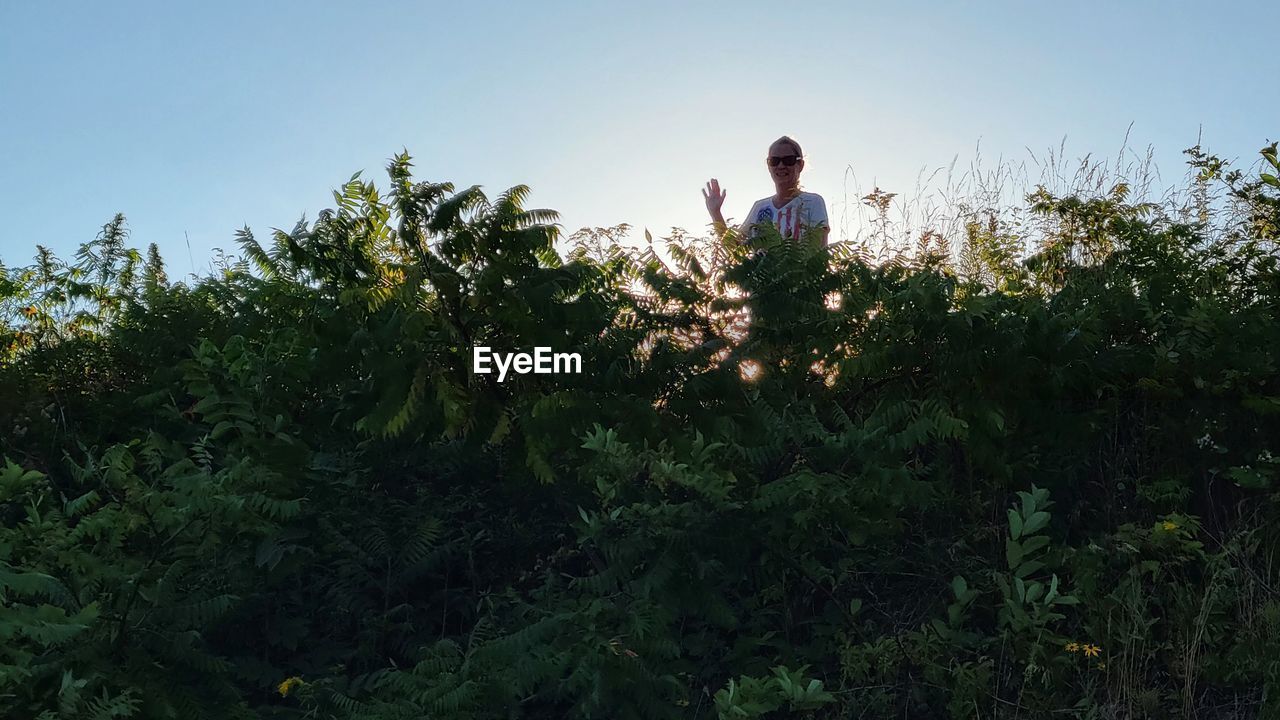 plant, nature, sky, one person, flower, sunlight, grass, green, adult, growth, land, agriculture, tree, natural environment, field, rural area, men, outdoors, leaf, landscape, day, leisure activity, morning, food and drink, copy space, looking, standing, rural scene, young adult, environment, hill, food, tranquility, crop, beauty in nature, forest, clear sky, lifestyles