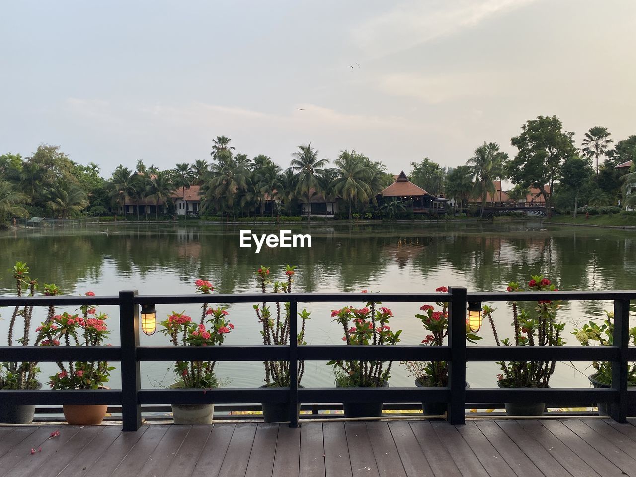 water, tree, nature, plant, lake, sky, architecture, wood, reflection, tranquility, travel destinations, built structure, beauty in nature, travel, outdoors, railing, no people, scenics - nature, pier, tourism, environment, day, holiday, trip, tranquil scene, tropical climate, landscape, vacation, relaxation, transportation, cloud